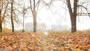 秋天公园里美丽的风景.. 明亮的阳光。 黄叶10.15.2019乌克兰。 基辅V DNH